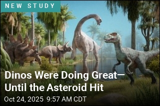 Dinosaurs Thrived, Thank You Very Much, Until the Asteroid