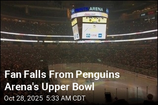 Hockey Fan Falls From Arena&#39;s Upper Bowl
