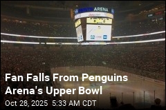 Hockey Fan Falls From Arena&#39;s Upper Bowl