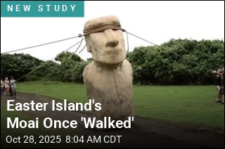 Easter Island&#39;s Moai Once &#39;Walked&#39;