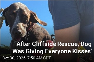 After Cliffside Rescue, Dog &#39;Was Giving Everyone Kisses&#39;
