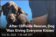 After Cliffside Rescue, Dog &#39;Was Giving Everyone Kisses&#39;