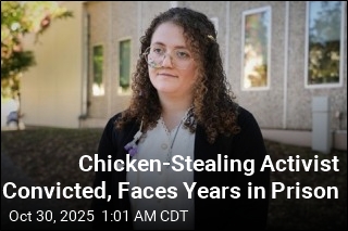 Activist Faces Prison for Taking Chickens From Slaughterhouse