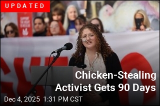 Activist Faces Prison for Taking Chickens From Slaughterhouse