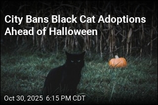 City Suspends Black Cat Adoptions Ahead of Halloween