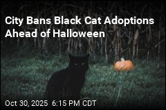 City Suspends Black Cat Adoptions Ahead of Halloween
