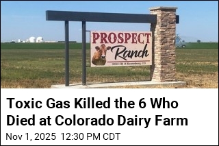 Toxic Gas Killed the 6 Who Died at Colorado Dairy Farm
