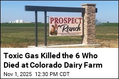 Toxic Gas Killed the 6 Who Died at Colorado Dairy Farm
