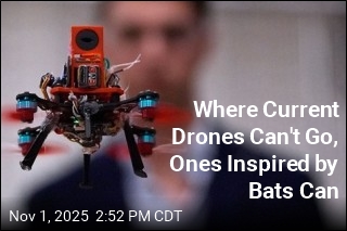 Where Current Drones Can&#39;t Go, Ones Inspired by Bats Can