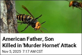&#39;Murder Hornets&#39; Kill 2 Americans in Laos