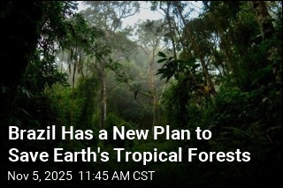 Brazil Wants to Pay Nations to Preserve Tropical Forests