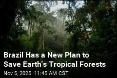 Brazil Wants to Pay Nations to Preserve Tropical Forests
