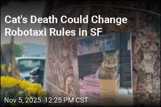 SF Rethinks Robotaxis After Waymo Kills Beloved Cat