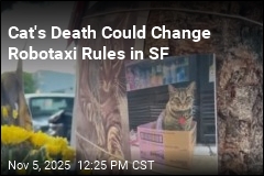 SF Rethinks Robotaxis After Waymo Kills Beloved Cat