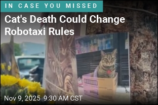 SF Rethinks Robotaxis After Waymo Kills Beloved Cat