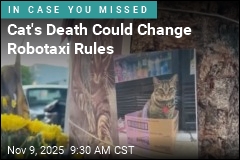 SF Rethinks Robotaxis After Waymo Kills Beloved Cat