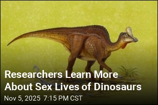 There&#39;s a New Way to Tell Male, Female Dinosaurs Apart