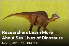 There&#39;s a New Way to Tell Male, Female Dinosaurs Apart