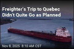 Massive Freighter Runs Aground in Detroit River