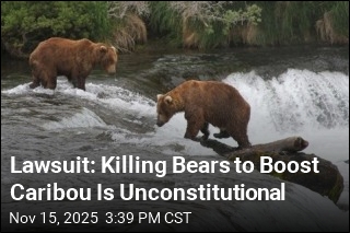 Lawsuit: Killing Bears to Boost Caribou Is Unconstitutional