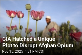CIA Hatched a Unique Plot to Disrupt Afghan Opium