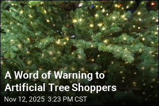 It&#39;ll Cost You More to Deck the Halls This Year