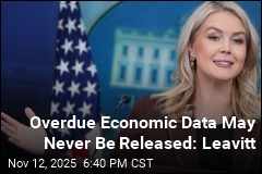 Overdue Economic Data May Never Be Released: Leavitt