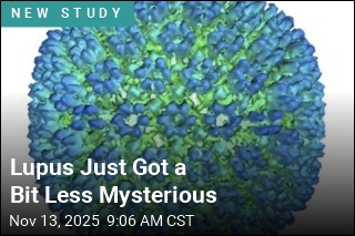 Lupus Just Got a Bit Less Mysterious