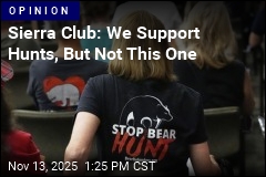 Sierra Club: Florida Bear Hunt Is Based on Bad Data