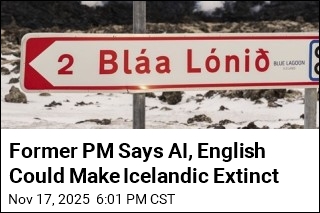 Former PM Says AI, English Could Make Icelandic Extinct