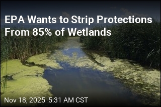 EPA Moves to Strip Safeguards From Most Wetlands