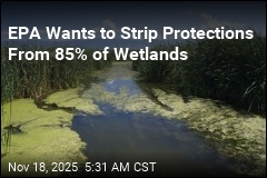EPA Moves to Strip Safeguards From Most Wetlands
