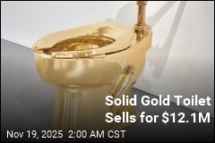 Solid Gold Toilet Auctioned for $12.1M