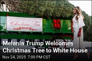 Melania Trump Welcomes Christmas Tree to White House