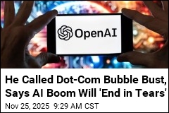&#39;Perma Bear&#39; Warns AI Boom Could End Worse Than 2008