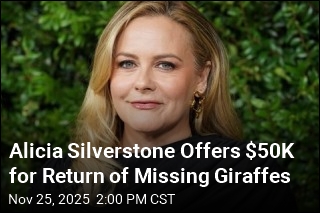 Alicia Silverstone Offers $50K for Return of Missing Giraffes