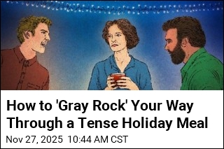 How to &#39;Gray Rock&#39; Your Way Through a Tense Holiday Meal