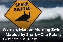 Shark Kills Woman, Hurts Her Companion on Morning Swim