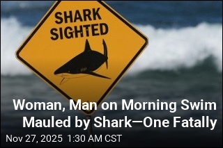 Shark Kills Woman, Hurts Her Companion on Morning Swim