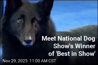 Soleil Steals the Show at Annual Canine Competition