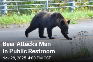 Bear Attacks Man in Restroom Near Train Station