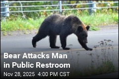 Bear Attacks Man in Restroom Near Train Station