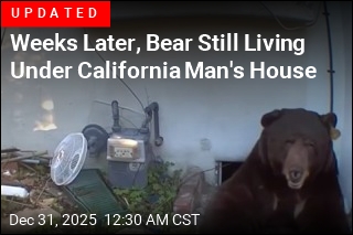 California Man Finds Bear Living Under His House