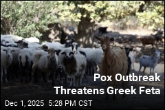 Greek Feta Faces Crisis as Disease Hits Sheep, Goats