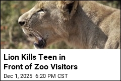 Lion Kills Teen Who Climbed Into Enclosure