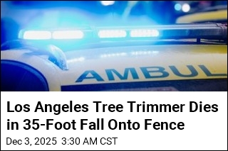 Los Angeles Tree Trimmer Dies in 35-Foot Fall Onto Fence