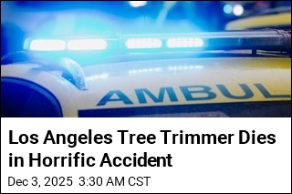 Los Angeles Tree Trimmer Dies in 35-Foot Fall Onto Fence