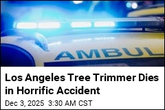 Los Angeles Tree Trimmer Dies in 35-Foot Fall Onto Fence