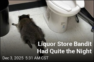 Liquor Store Bandit Had Quite the Night