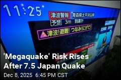 At Least 23 Injured in Strong Japan Quake